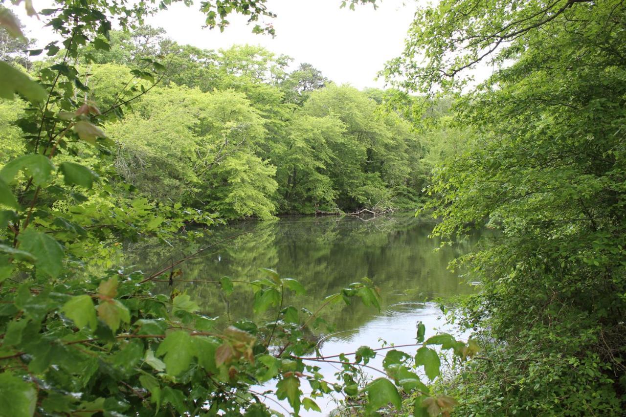 Herring Run Bourne Zewnętrze zdjęcie
