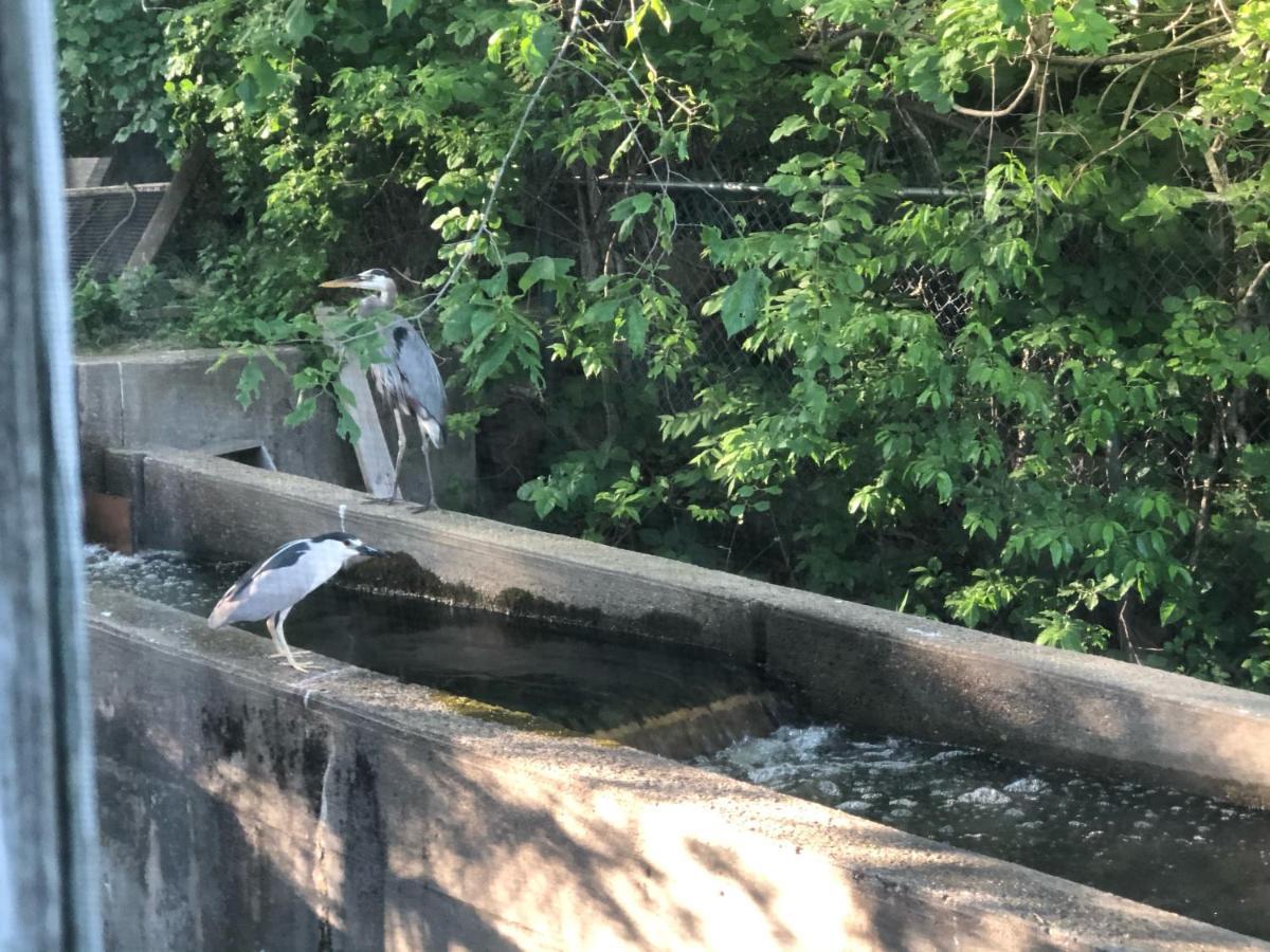 Herring Run Bourne Zewnętrze zdjęcie