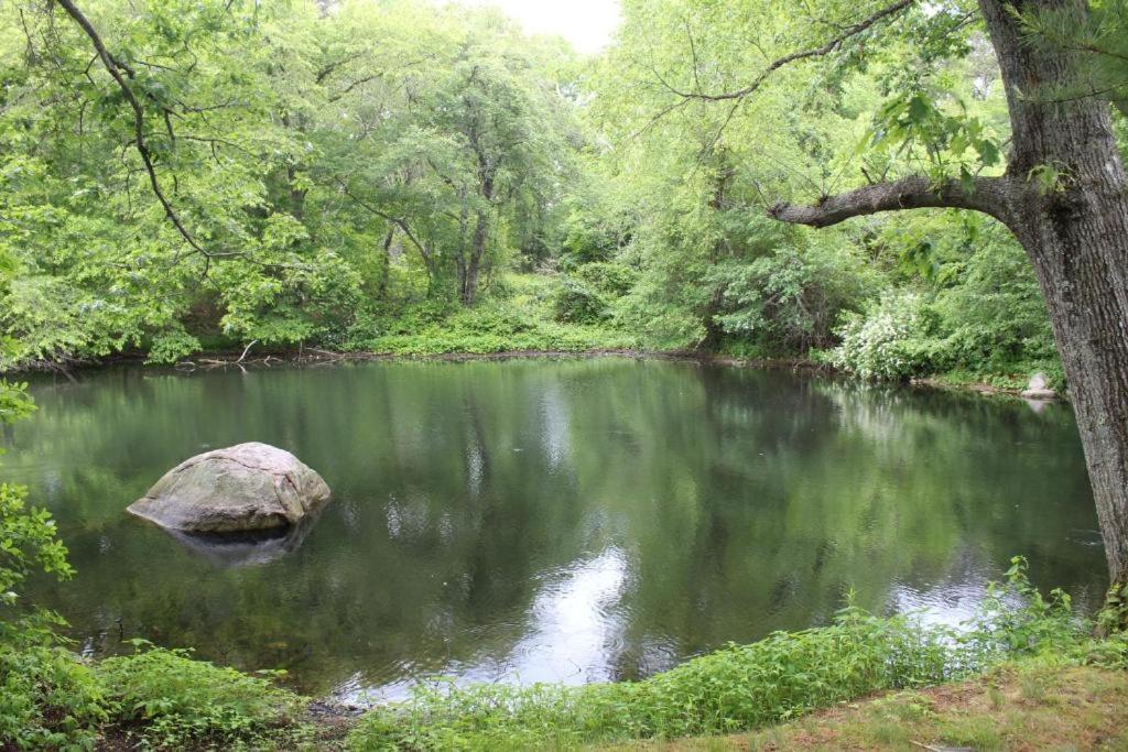 Herring Run Bourne Zewnętrze zdjęcie