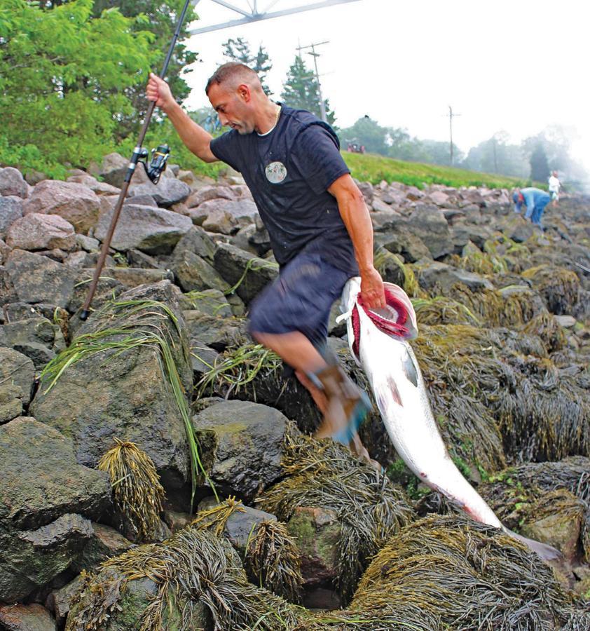 Herring Run Bourne Zewnętrze zdjęcie