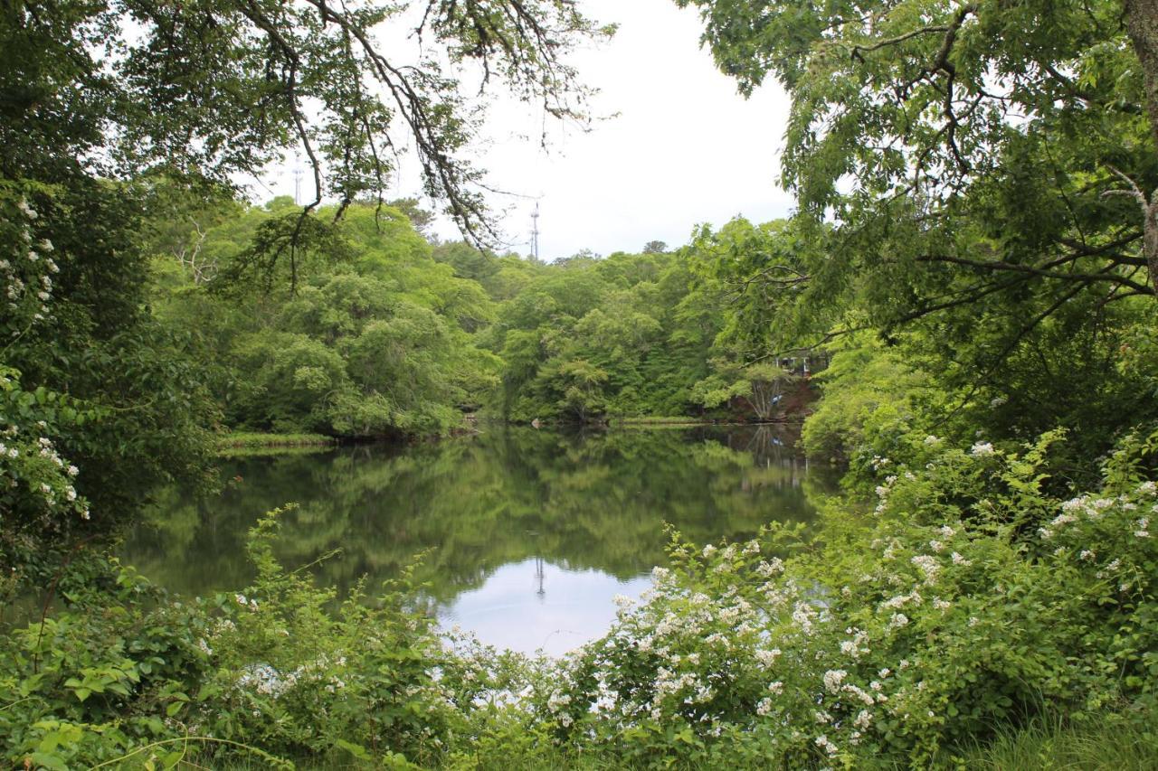 Herring Run Bourne Zewnętrze zdjęcie