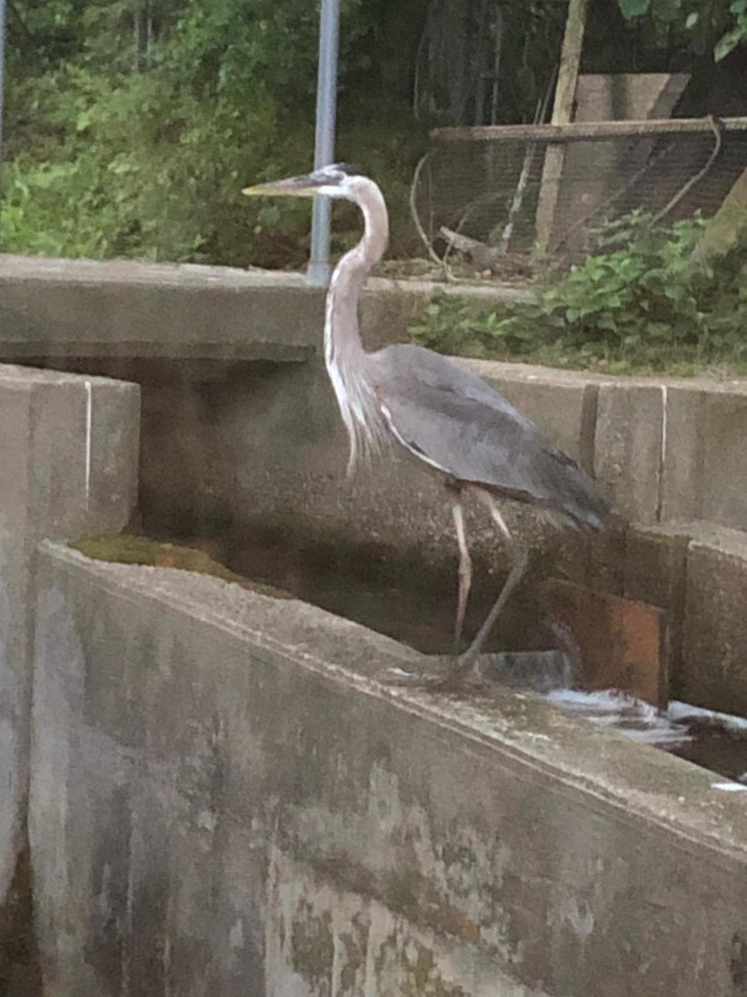 Herring Run Bourne Zewnętrze zdjęcie